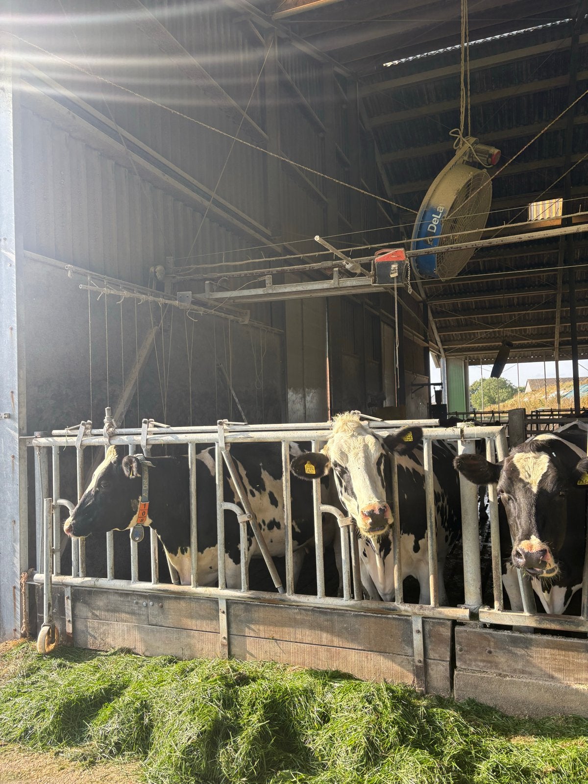 Aandrijfhek, Dieren en Toebehoren