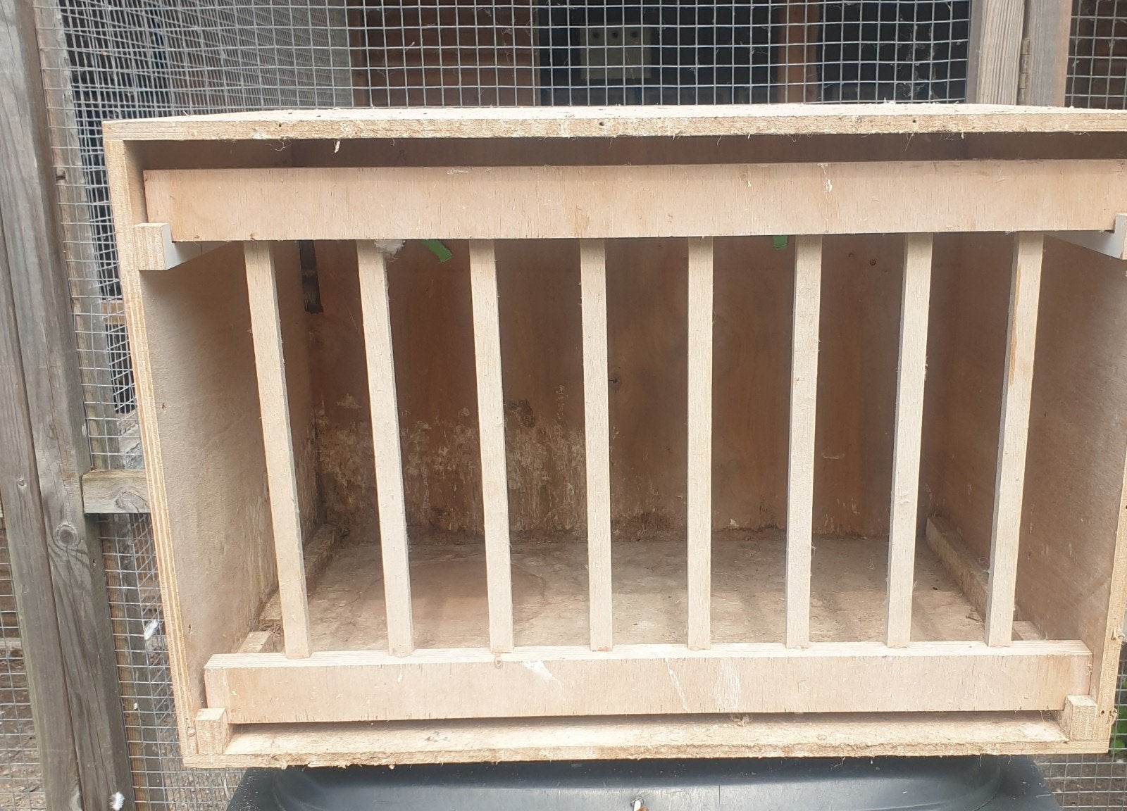 Lichthokken voor duiven, Dieren en Toebehoren, Meerdere dieren, Postduif