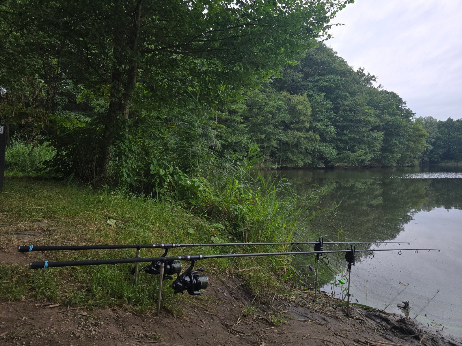 Shimano TX-4 12ft 2.75lb  Karperhengel, Watersport en Boten, Ophalen, Zo goed als nieuw, Werphengel