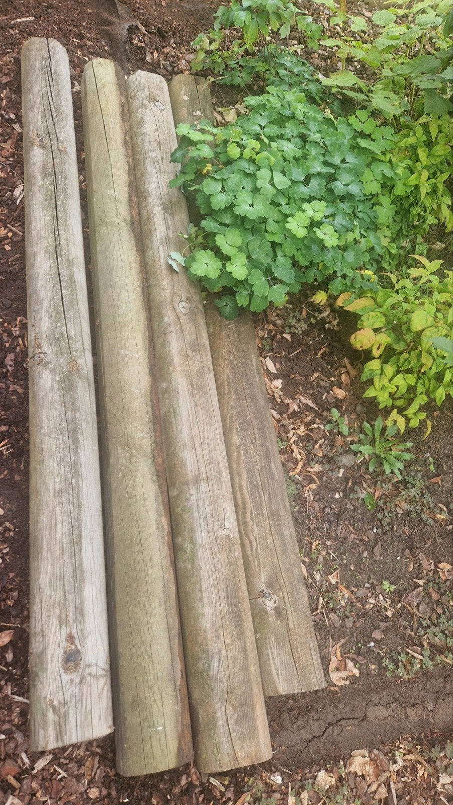 8 gebruikte bielzen, Tuin en Terras, Ophalen, Gebruikt, Biels, 200 cm of meer
