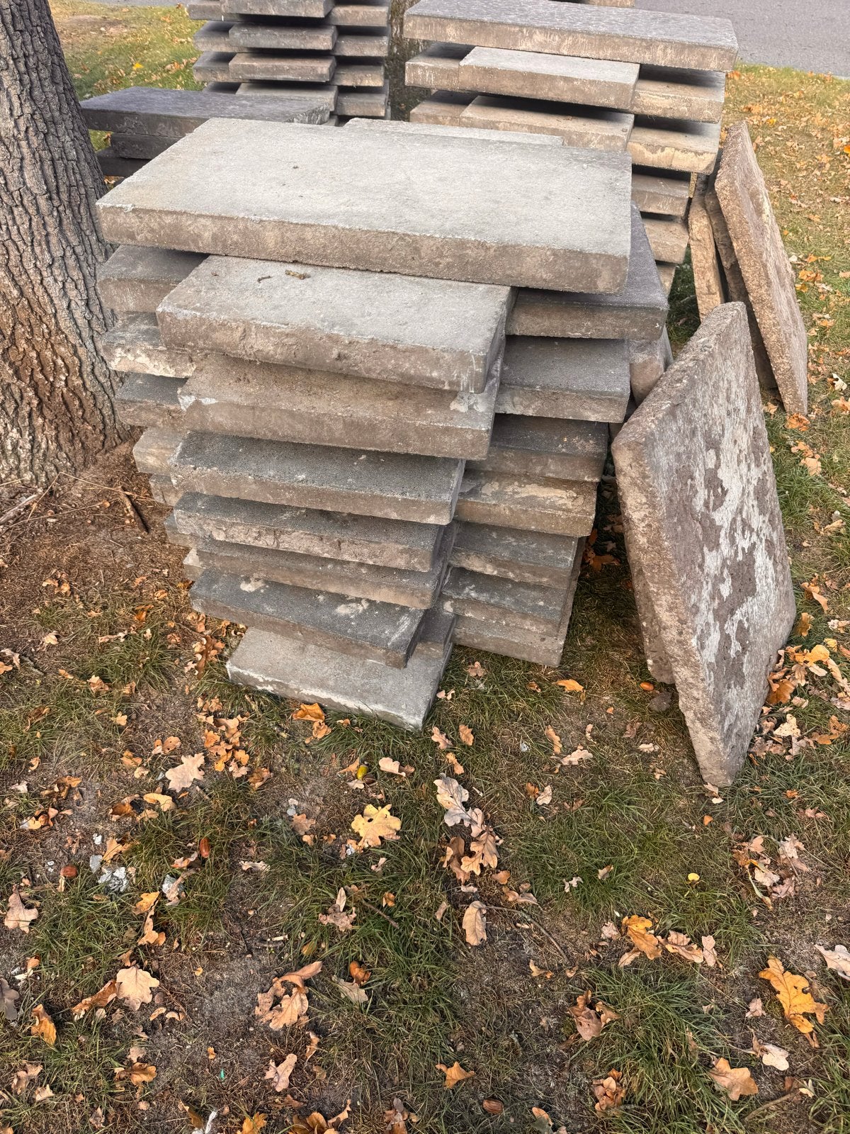 Betontegels 60x30 cm - 11m² hele tegels en halve, Ophalen, Gebruikt, 10 m² of meer, 20 tot 40 cm
