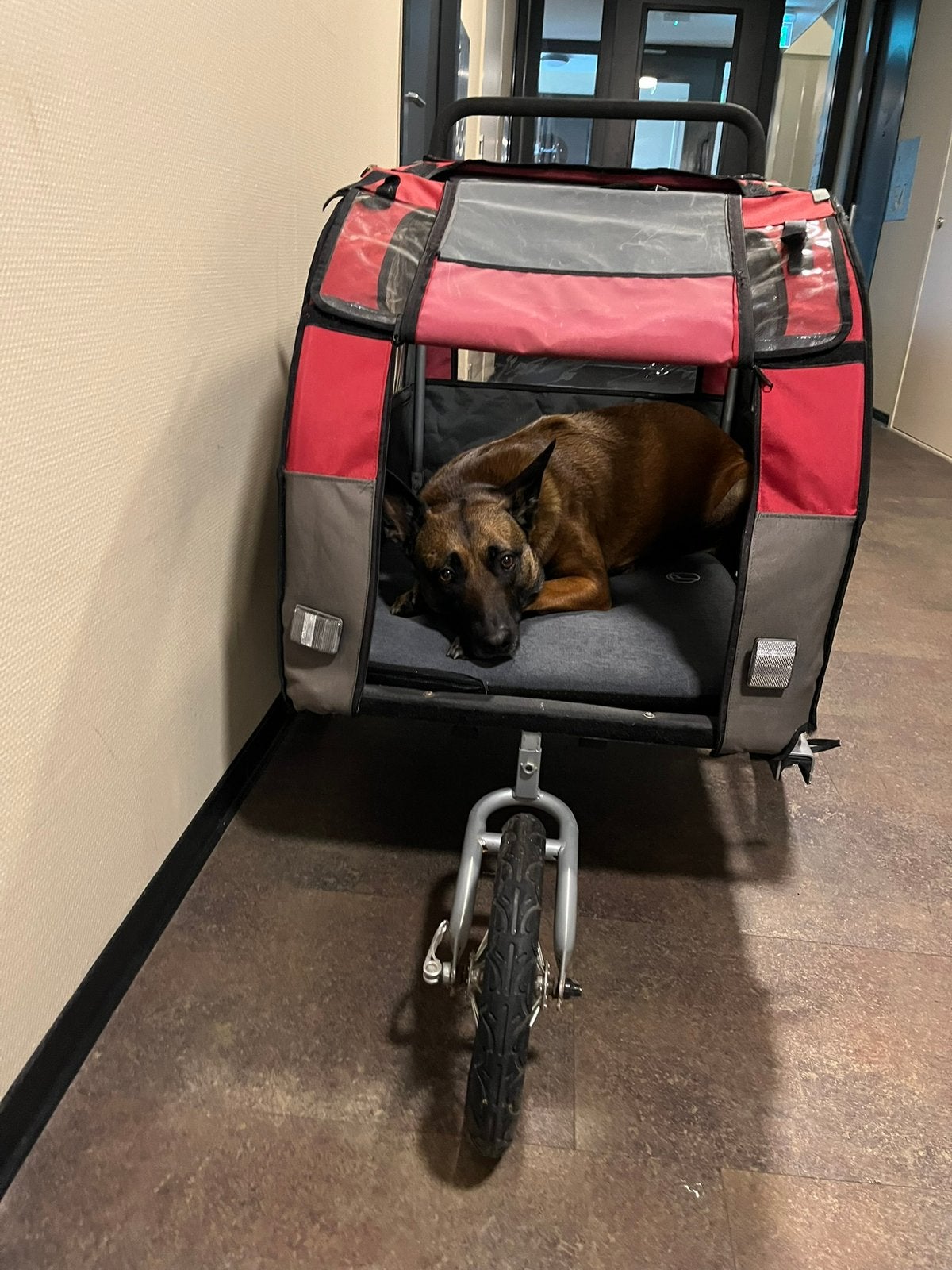 Mooie ruime honden(fiets)kar, Ophalen, Zo goed als nieuw, Hondenkar