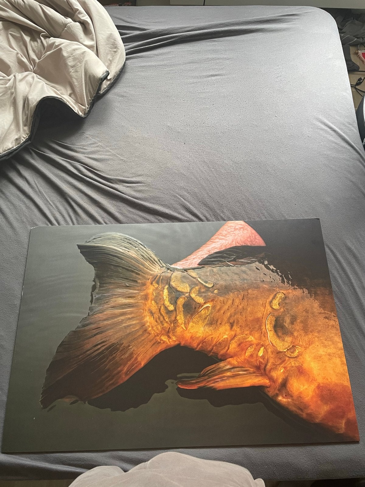 Zelfgemaakte karper portret, Ophalen