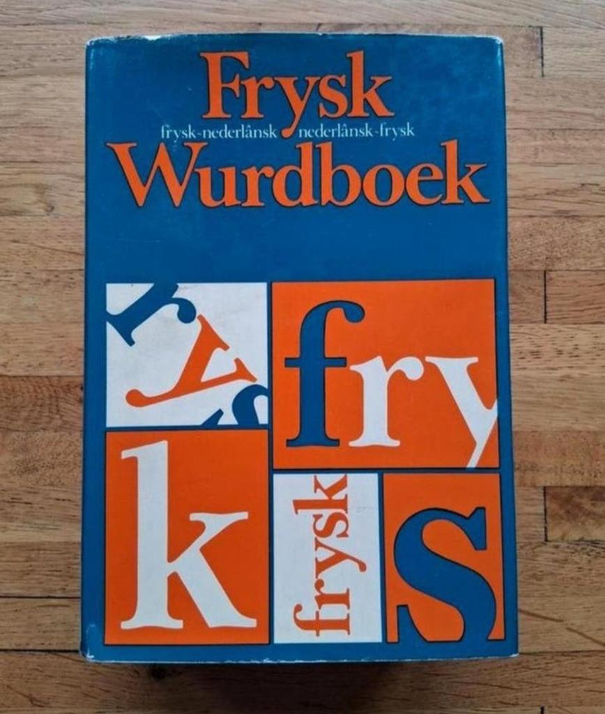 Frysk wurdboek 2in1 fries nederlands /nederlands naar fries, Ophalen of Verzenden, Zo goed als nieuw, Overige uitgevers, Nederlands