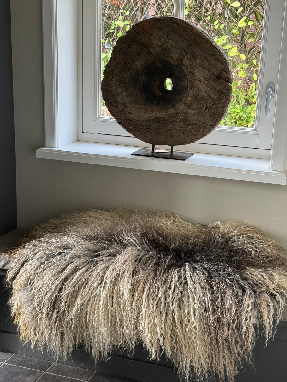 Vacht, diervriendelijke krullenvacht Racka schaap, Meerkleurig, Bergen op zoom, Nieuw, Ophalen of Verzenden