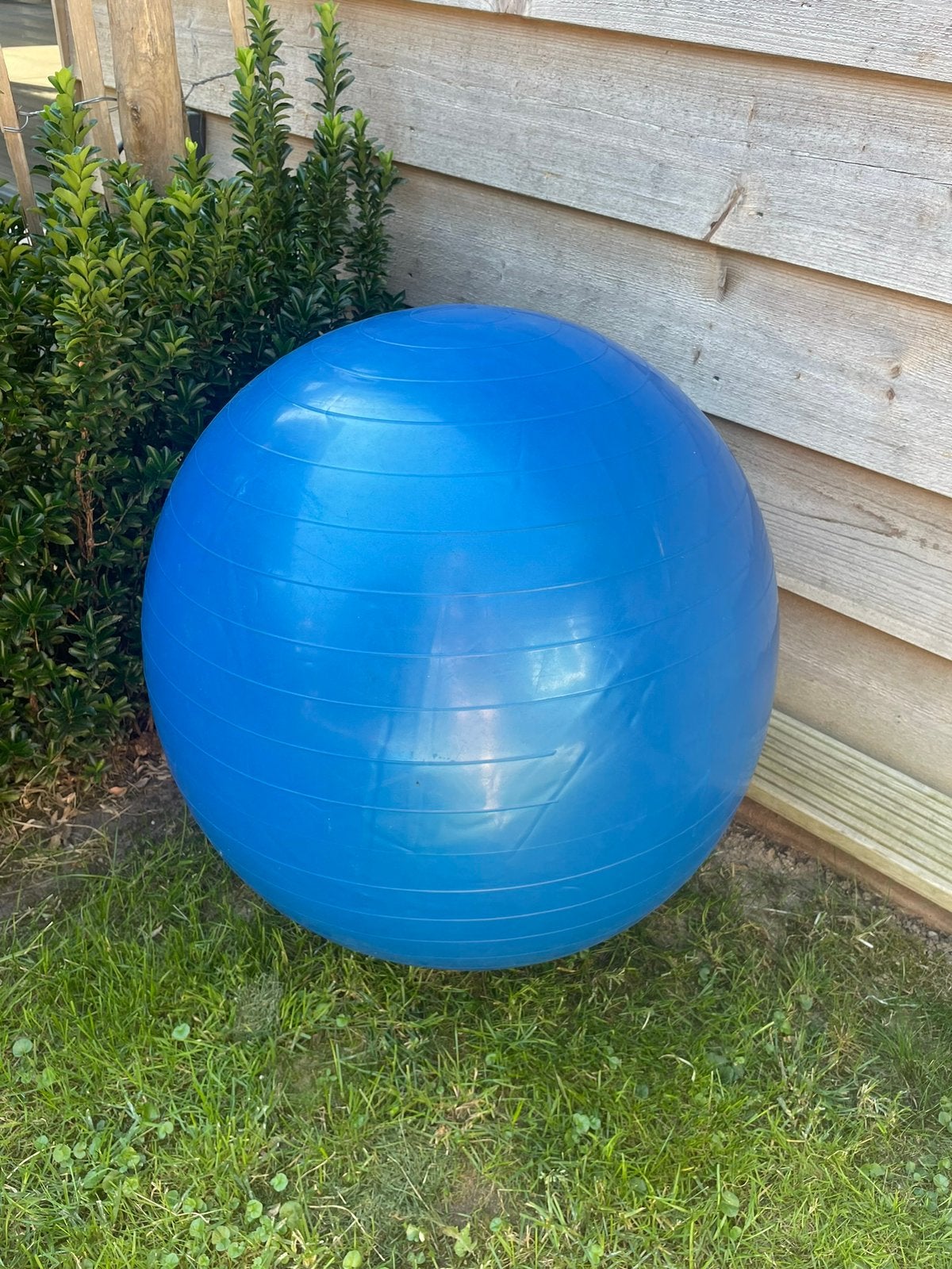 Zwangerschapsbal, Sport en Fitness, Yoga en Pilates, Ophalen of Verzenden, Zo goed als nieuw
