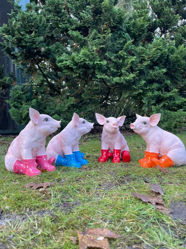 Varkens biggetjes regenlaarsjes boerderij beeld tuin boer, Tuin en Terras, Tuinbeelden, Ophalen of Verzenden, Nieuw, Kunststof