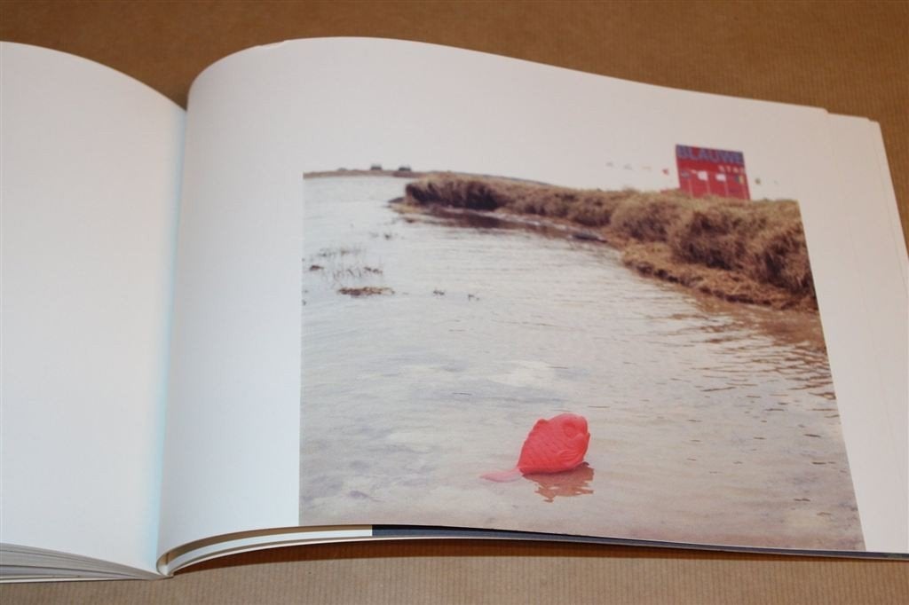 Blauwe Plekken — Fotoboek Blauwe Stad — Dossier Nr. 5, Verzenden, Gelezen