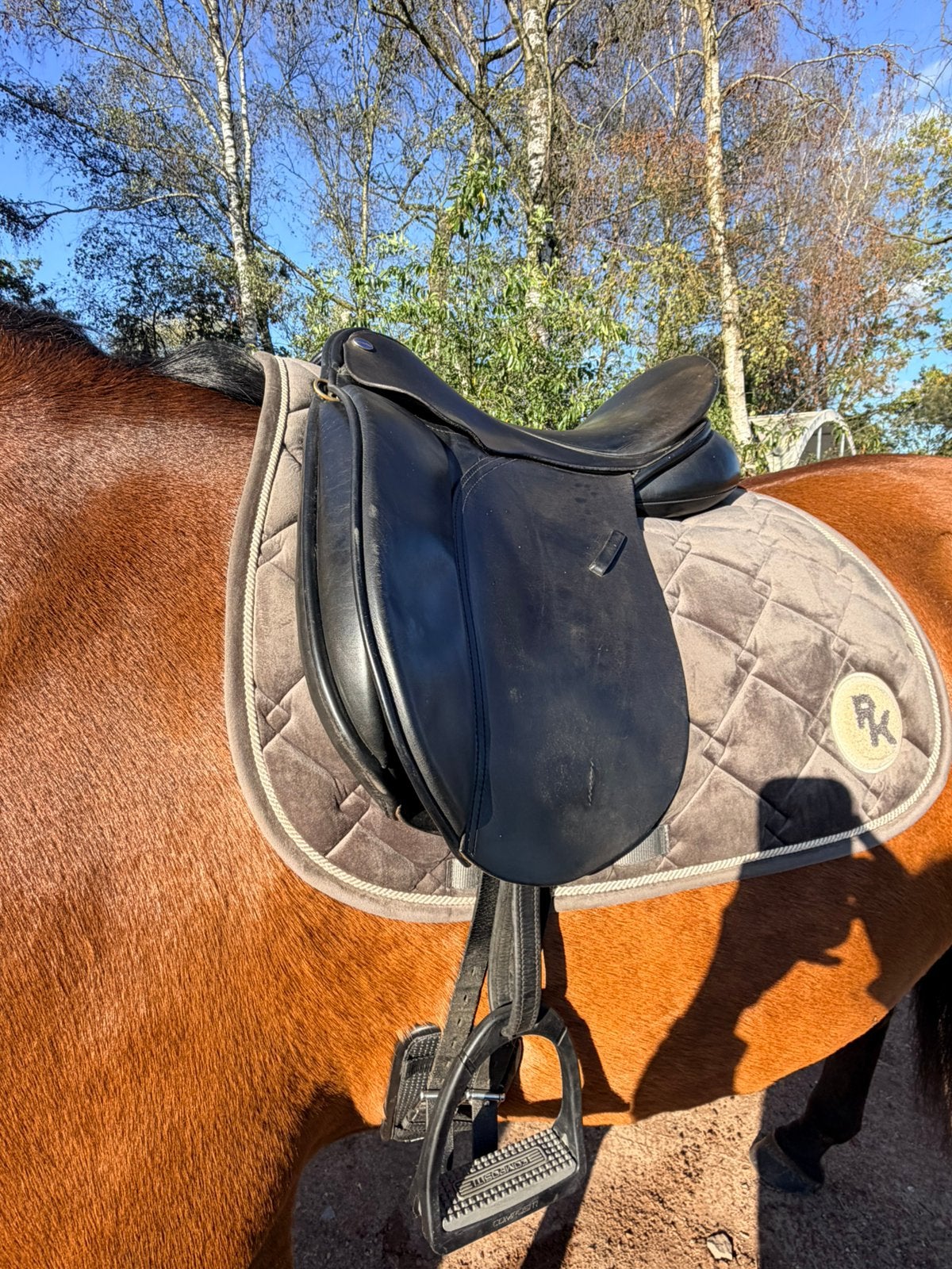 Euroriding diamant & JC zadel, L (17.5 inch), Gebruikt, Inclusief zadelhoes, Dressuur
