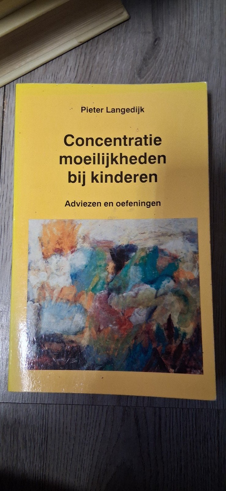 Concentratiemoeilijkheden bij kinderen - Pieter Langedijk
