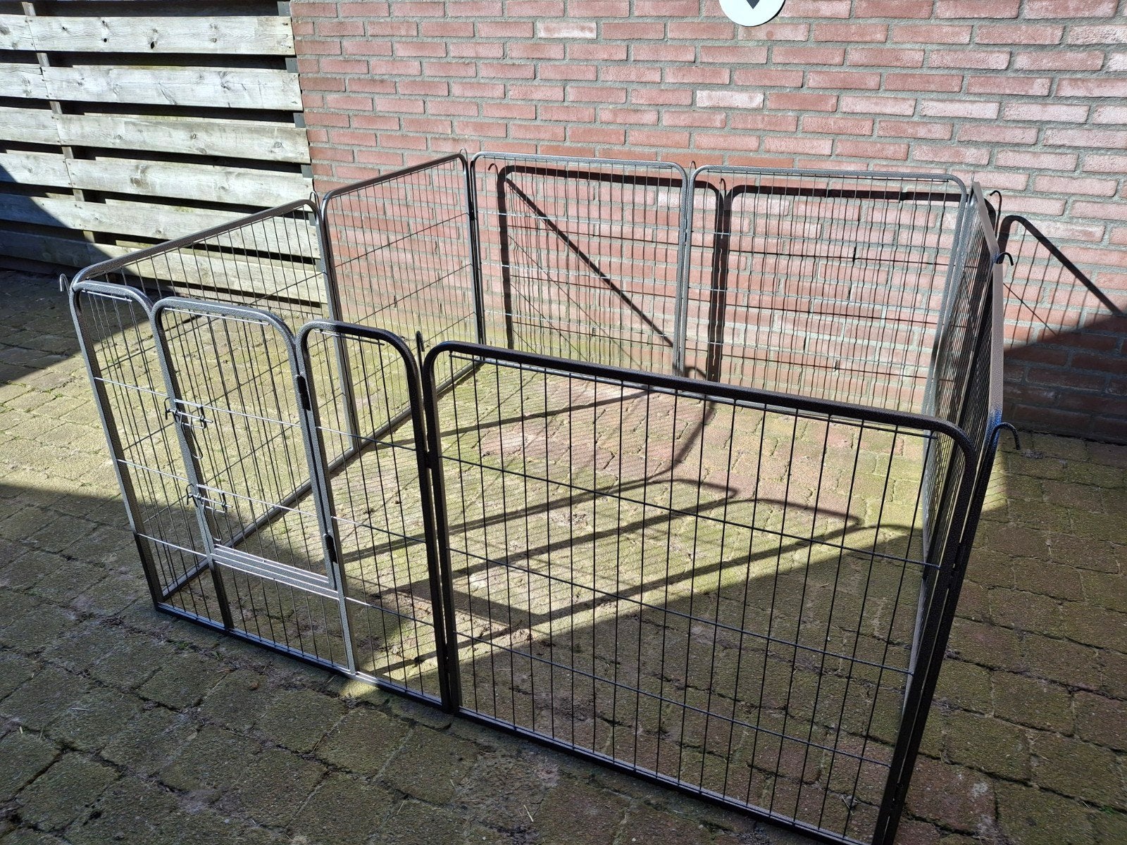 Puppy ren te huur, Dieren en Toebehoren, Ophalen of Verzenden