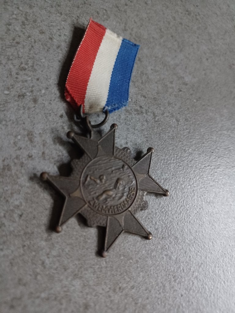 medaille zwemvierdaagse, Ophalen of Verzenden, Brons, Nederland