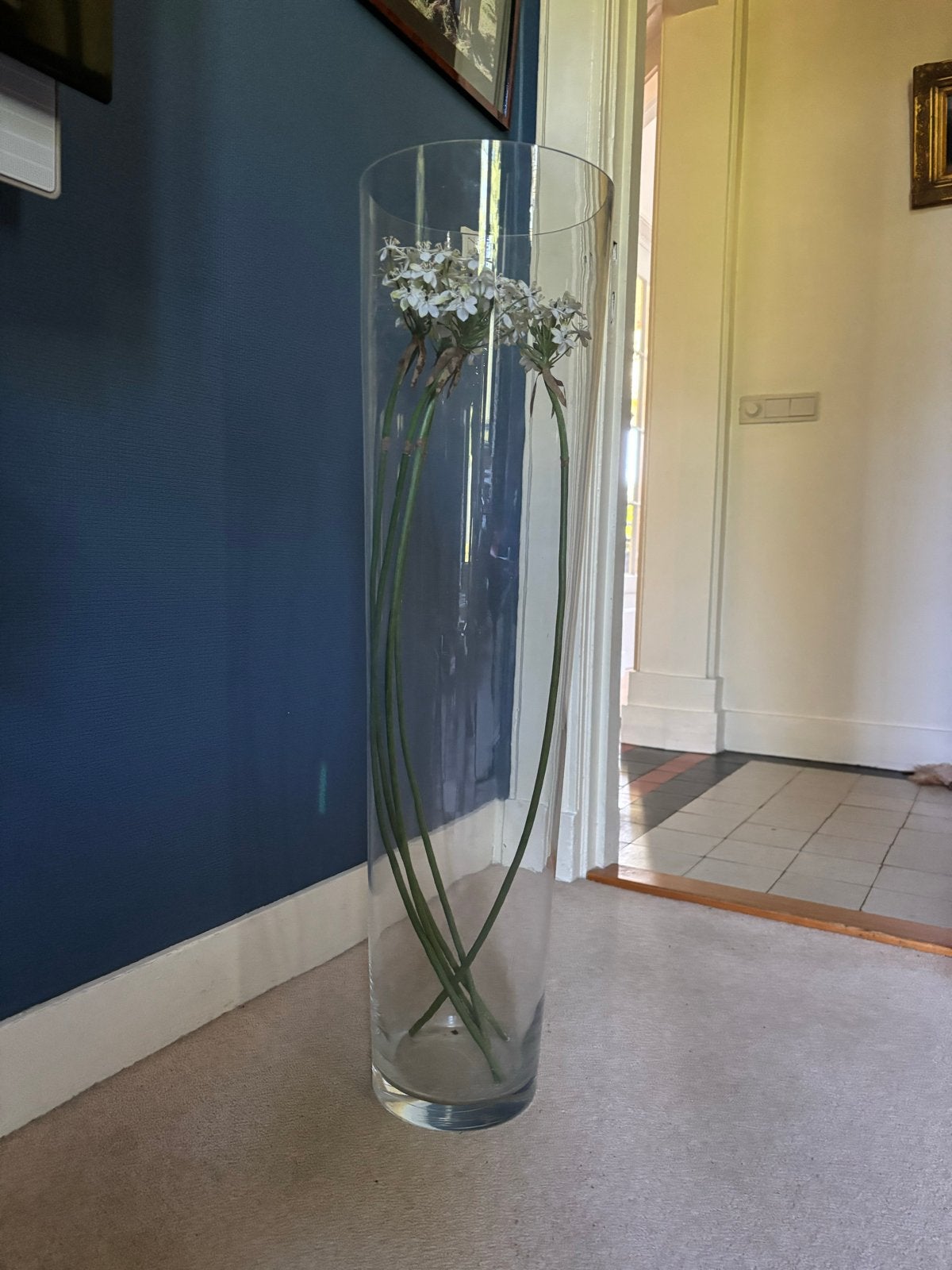 Grote glazen vaas, 90 cm hoog, Ophalen, Zo goed als nieuw, Transparant, Glas