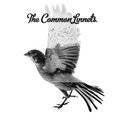 The Common Linnets - Idem, Ophalen of Verzenden, Zo goed als nieuw, Pop, Album