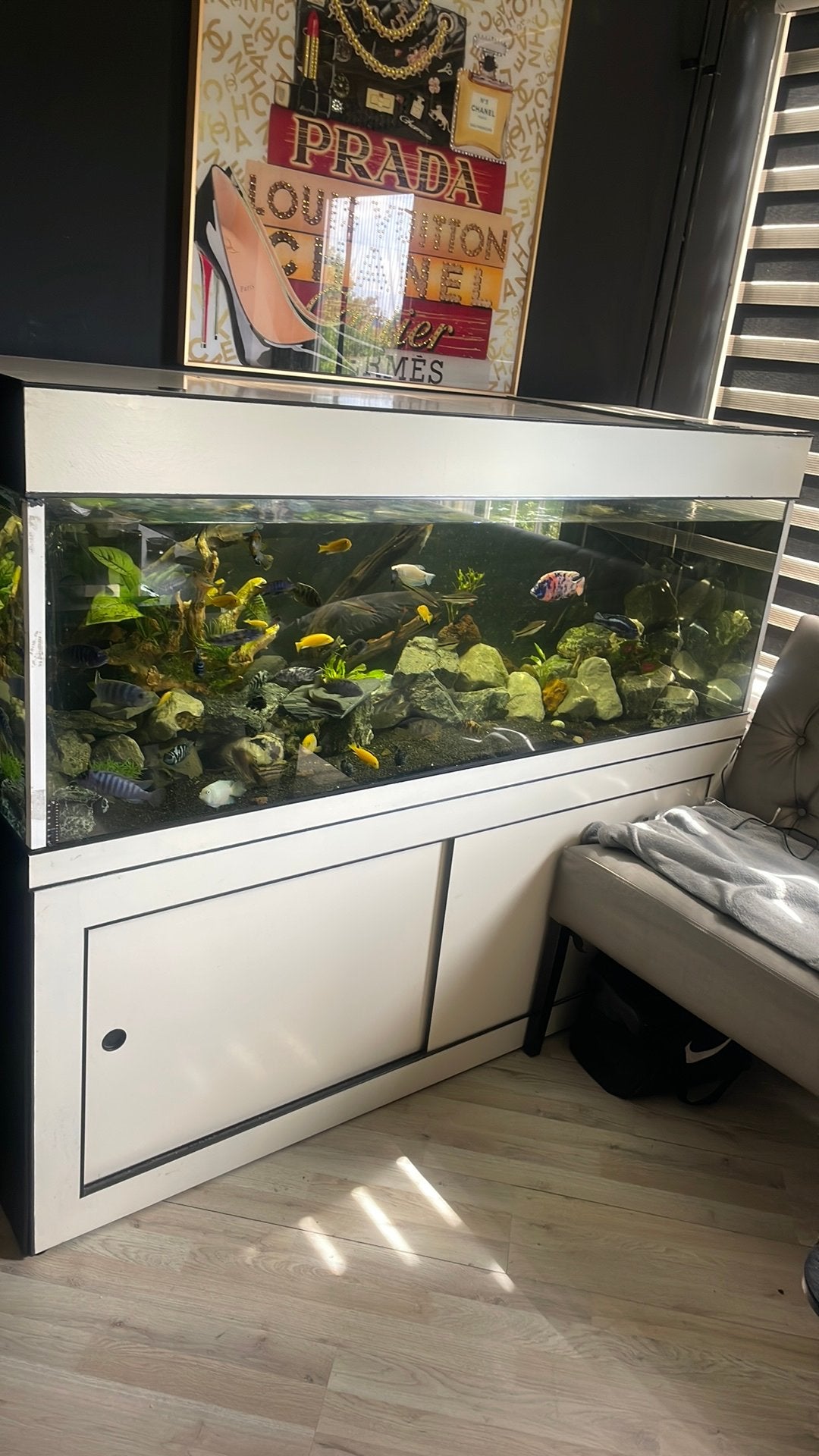 Aquarium 1,60 INCL ALLES, Ophalen, Zo goed als nieuw, Leeg aquarium