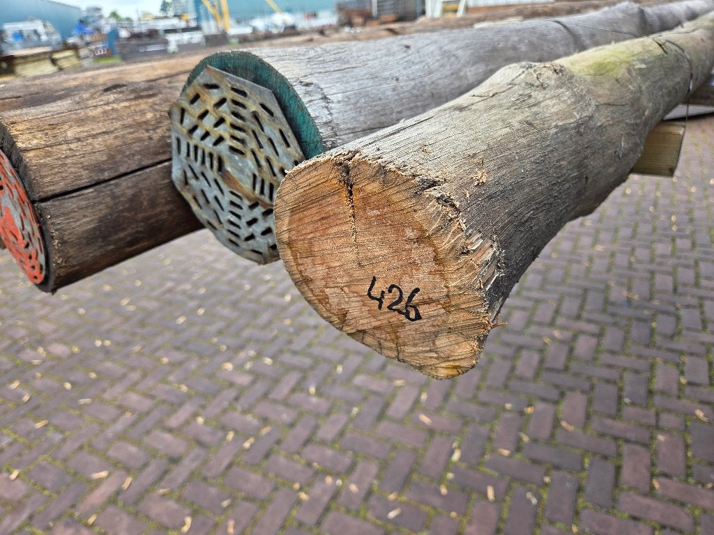5 Gebruikte hardhouten ronde palen onbehandeld - nr: HB426, Ophalen, Gebruikt, 250 cm of meer, Palen