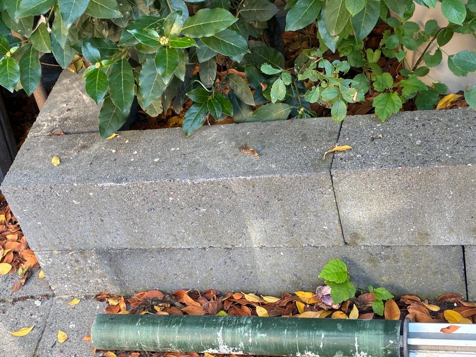 Tegels, Ophalen, Gebruikt, Beton, Terrastegels