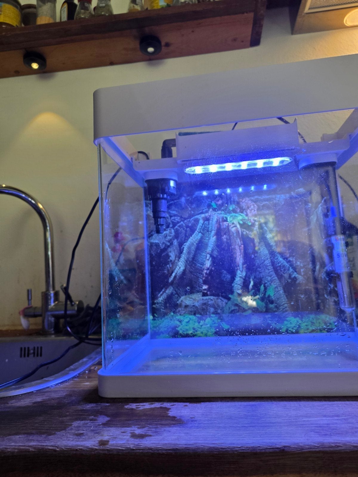 Superfish Aquarium Panorama 35 Led, Dieren en Toebehoren, Vissen | Aquaria en Toebehoren, Zo goed als nieuw, Leeg aquarium, Ophalen of Verzenden