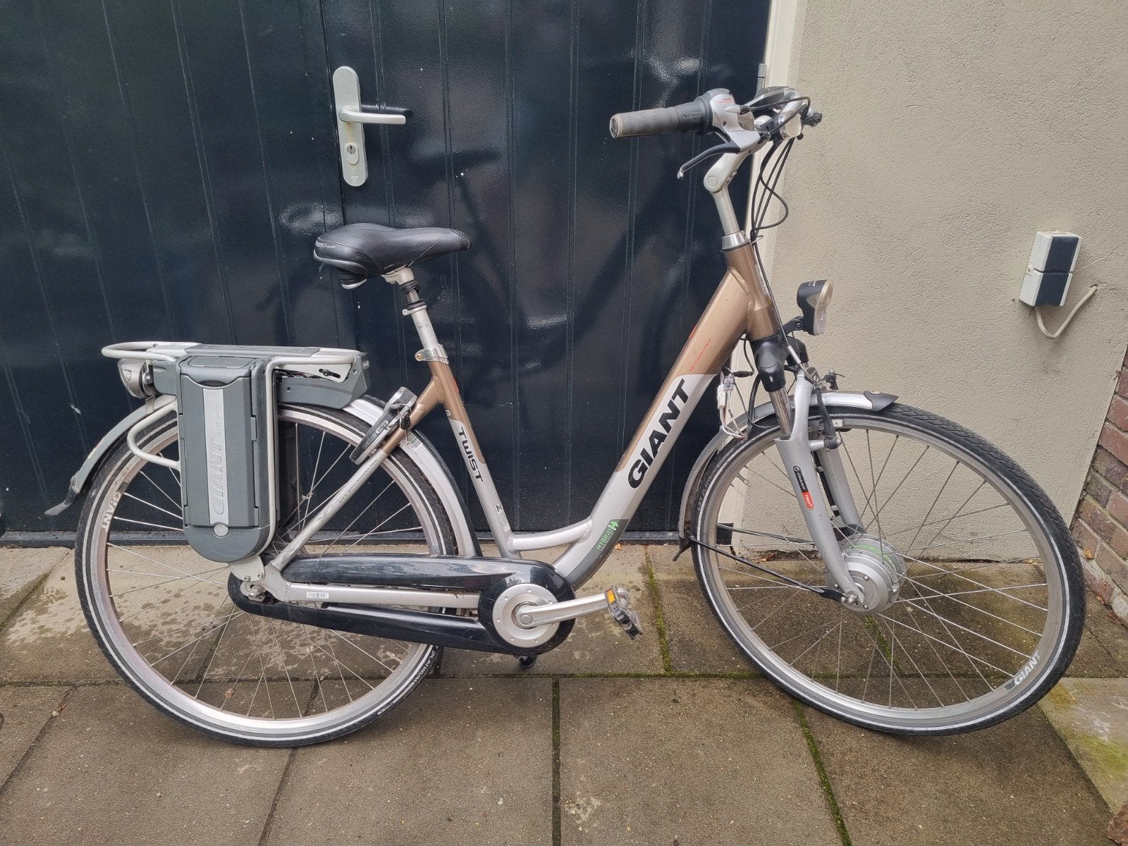 Giant twist GO double e-bike (defect), Ophalen, Gebruikt, Minder dan 30 km per accu, Overige merken