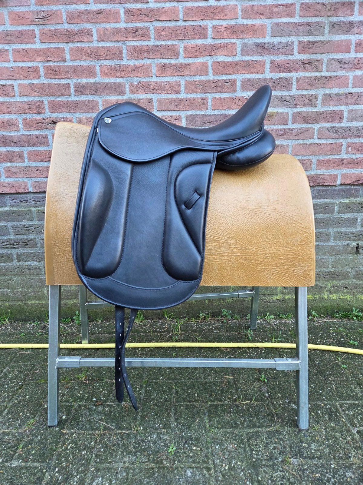 Horka Dante, Ophalen of Verzenden, Nieuw, Dressuur