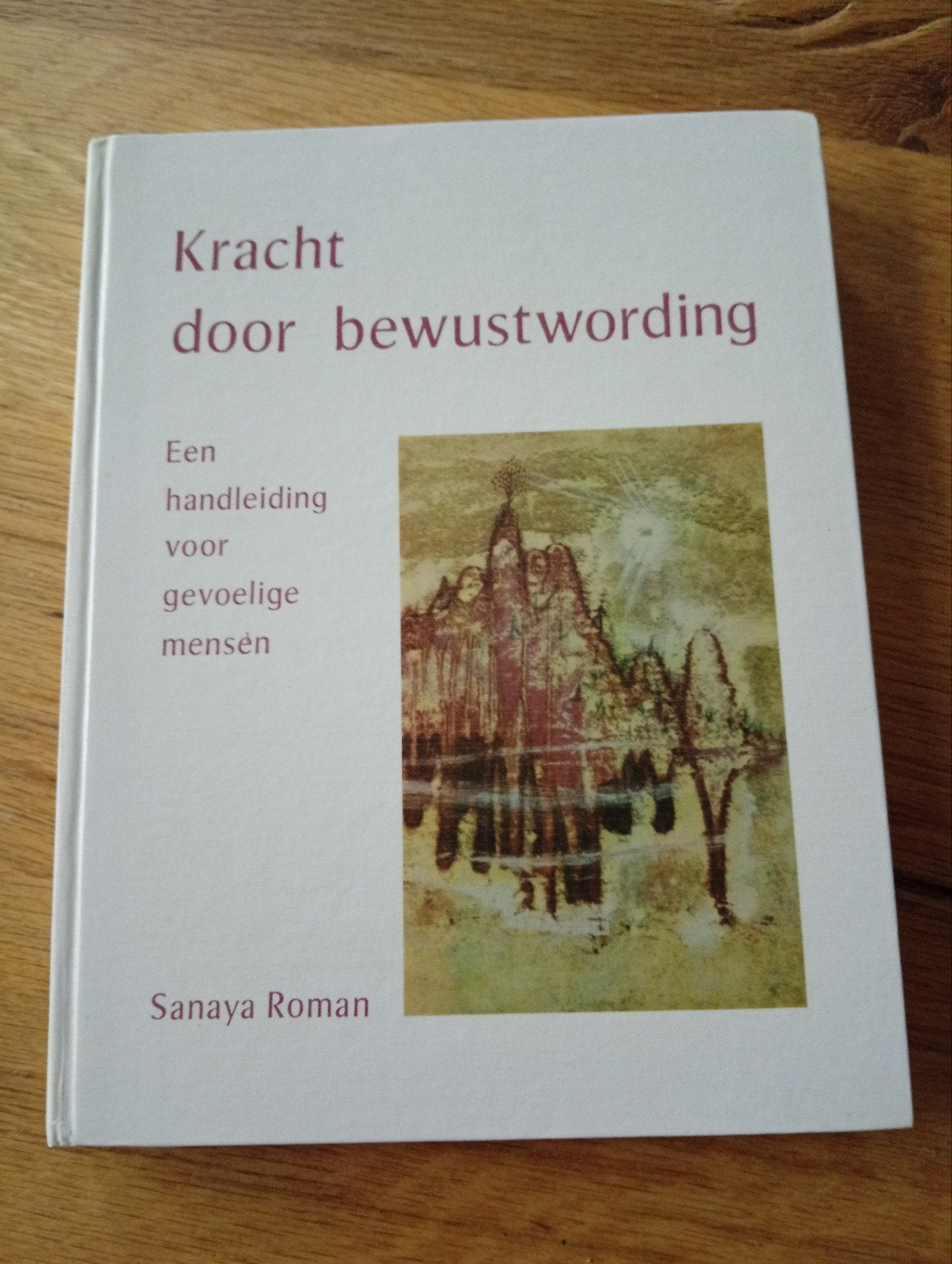 Kracht door bewustwording - Sanaya Roman, Boeken, Ophalen of Verzenden, Zo goed als nieuw, Instructieboek, Spiritualiteit algemeen