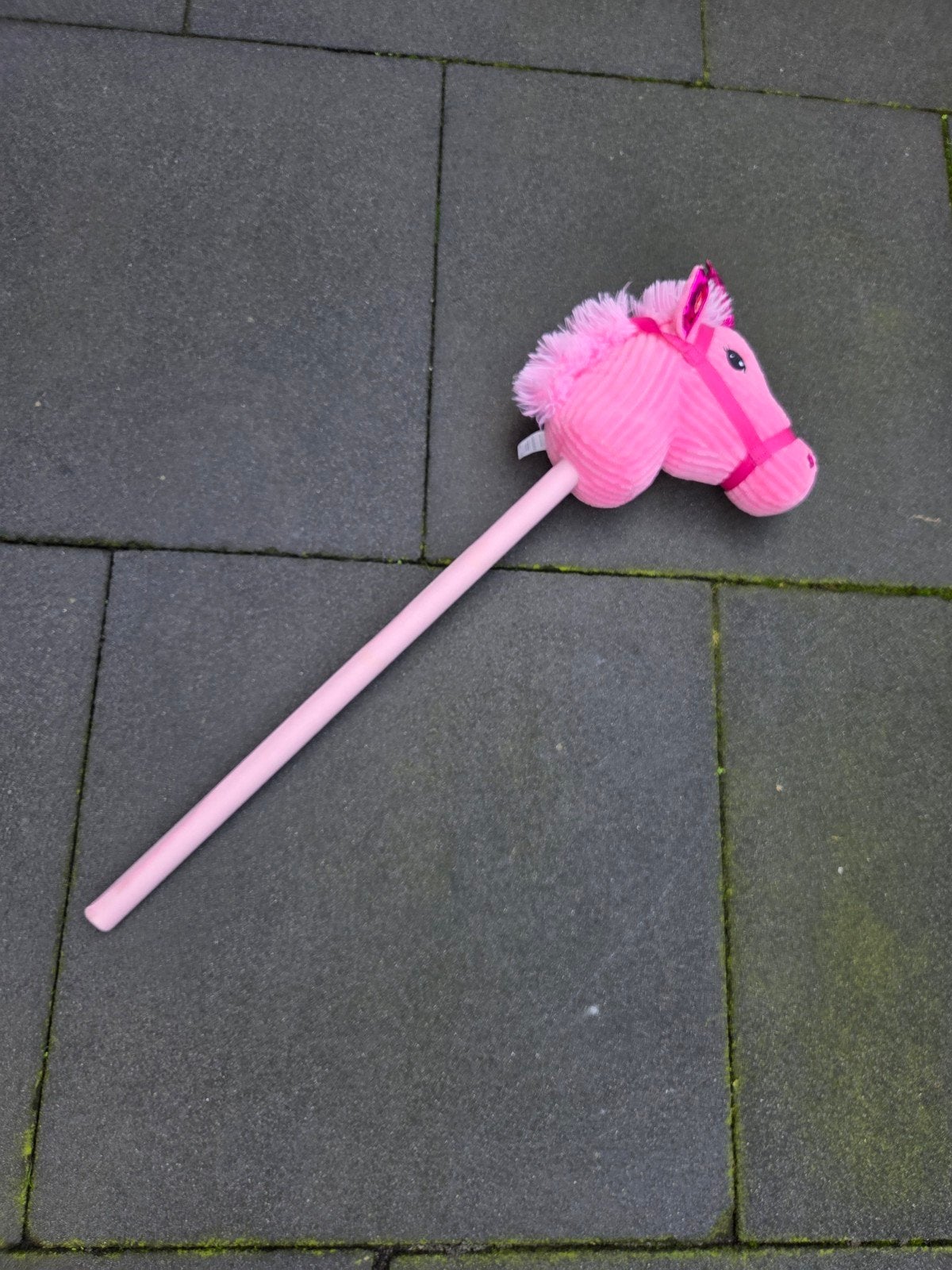 Roze stokpaard, Ophalen of Verzenden, Nieuw