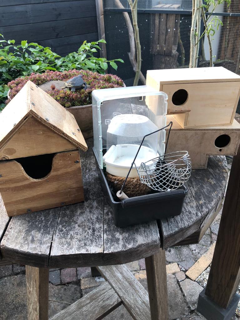 Vogel spulletjes, tropen, Ophalen of Verzenden, Gebruikt