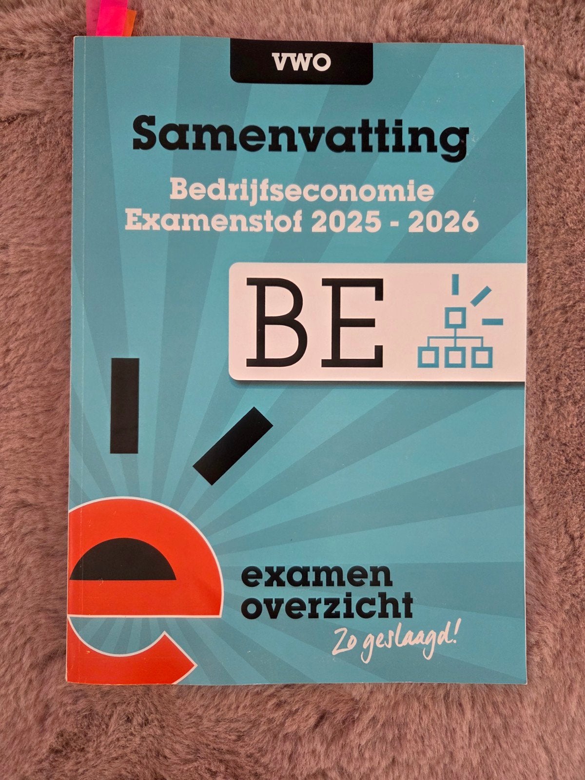 Samenvatting Bedrijfseconomie VWO Examenstof 2025-2026, Onbekend, VWO, Ophalen of Verzenden, Zo goed als nieuw