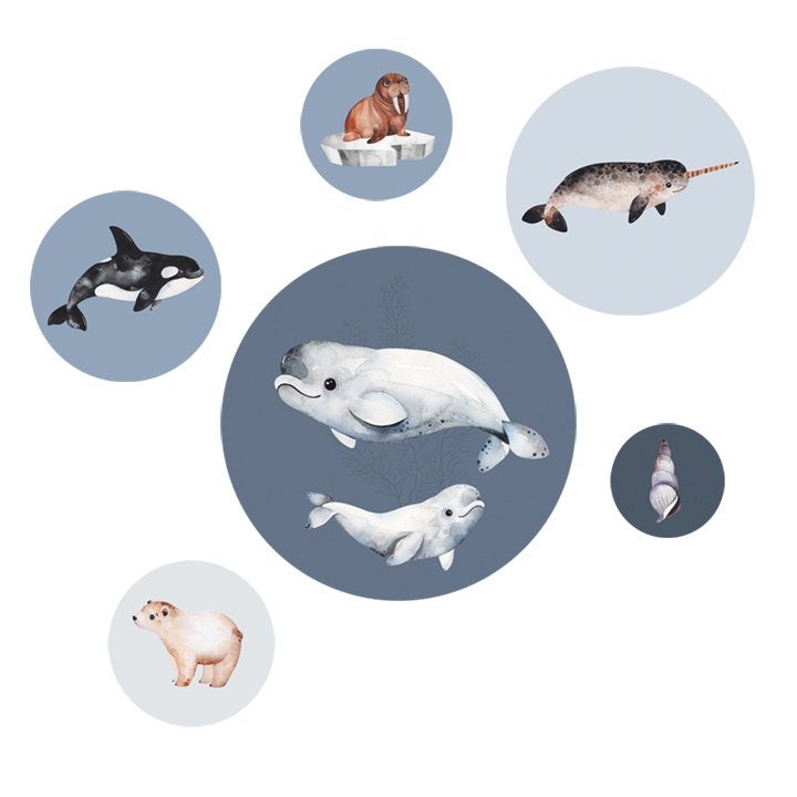 Muurstickers Dieren Noordpool Artic Blauw Dutch sprinkles, Info@dutchsprinkles.nl, Ophalen of Verzenden, Dutch Sprinkles, Overige typen