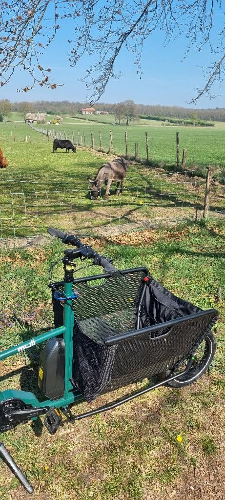 Muli ST Pro Pinetree Green cargobike, Muli Cycles, Nieuw, Info@cafecadans.nl, 2 kinderen