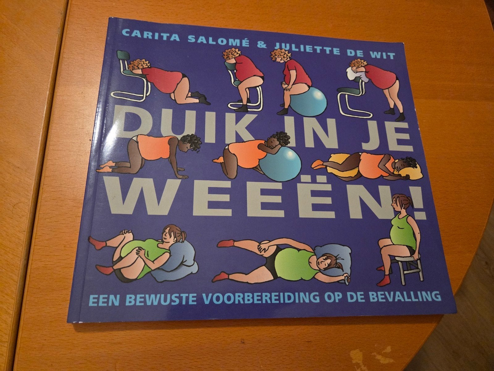 Duik in je weeën! Bewuste voorbereiding op de bevalling, Boeken, Ophalen of Verzenden, Zo goed als nieuw, Zwangerschap en Bevalling