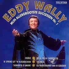 Piraten C.D. (1998) Eddy Wally - Mijn Allergrootste Succes 1, Ophalen of Verzenden, Zo goed als nieuw, Levenslied of Smartlap