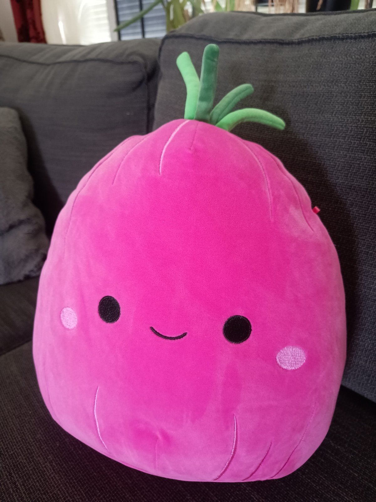squishmallow rode ui, Ophalen of Verzenden, Overige typen