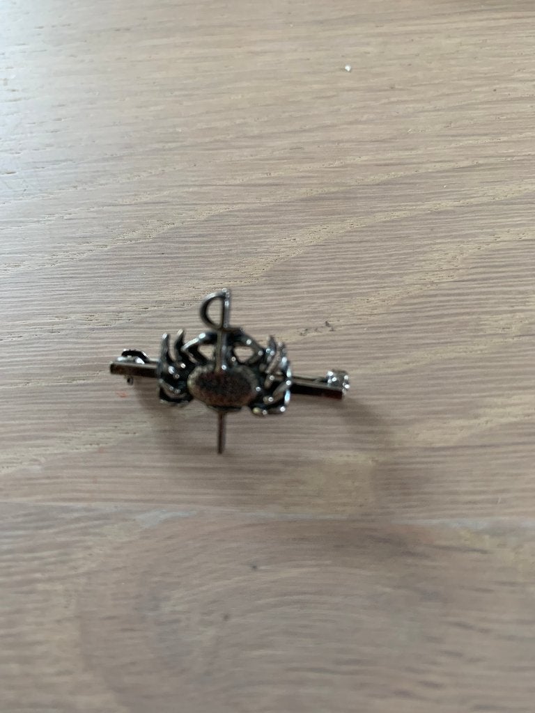 KWF verguld echt zilveren speldje, Verzamelen, Ophalen of Verzenden, Zo goed als nieuw, Overige onderwerpen, Speldje of Pin