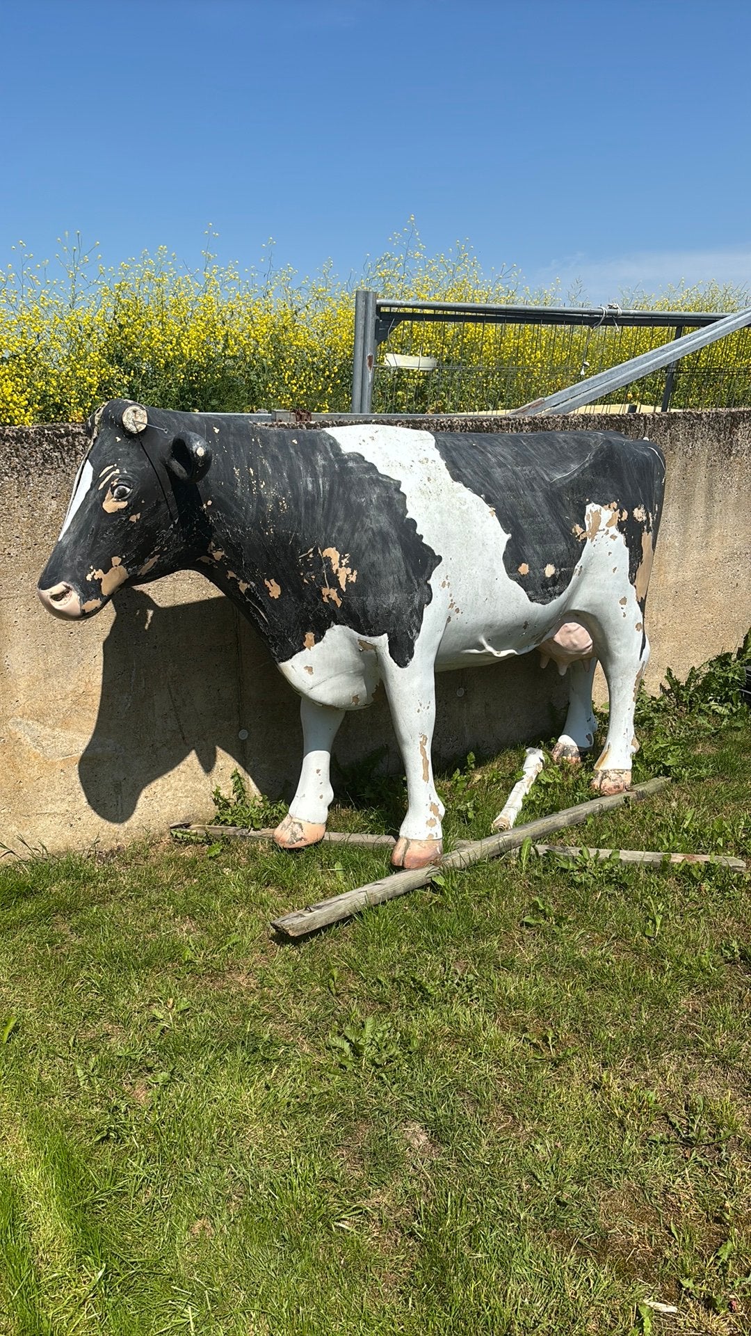 Levensgrote koe (opknapper), Tuin en Terras, Ophalen, Dierenbeeld