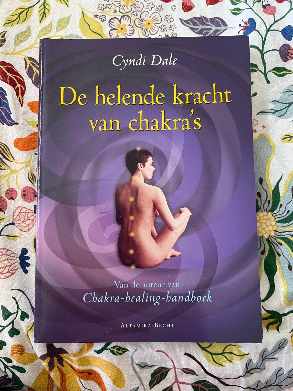 De helende kracht van chakra's - Cyndi Dale, Boeken, Ophalen of Verzenden, Zo goed als nieuw, Spiritualiteit algemeen, Instructieboek