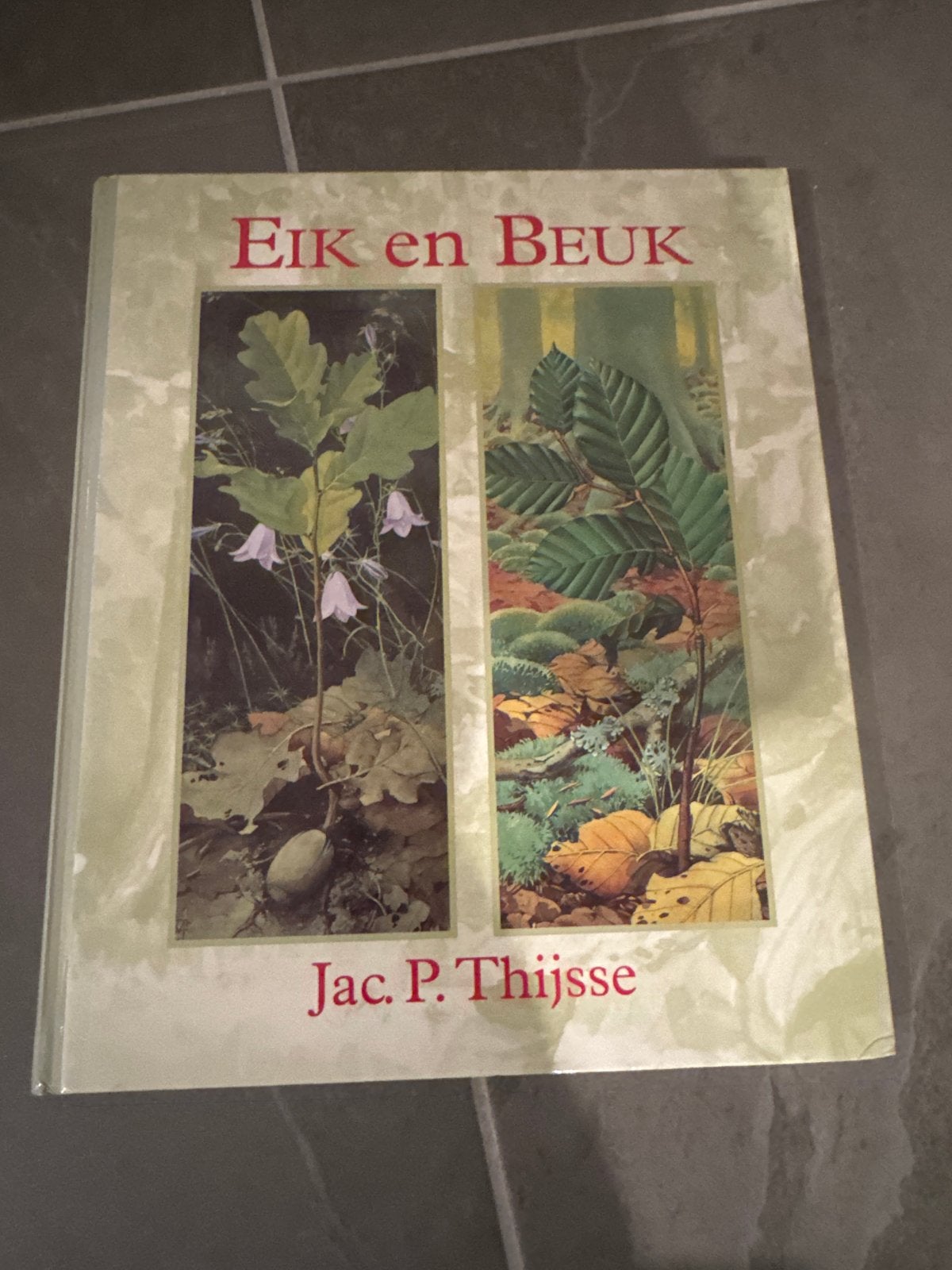 Eik en Beuk - Jac. P. Thijsse (Natuurboek), Boeken, Ophalen of Verzenden, Zo goed als nieuw, Bloemen, Planten en Bomen