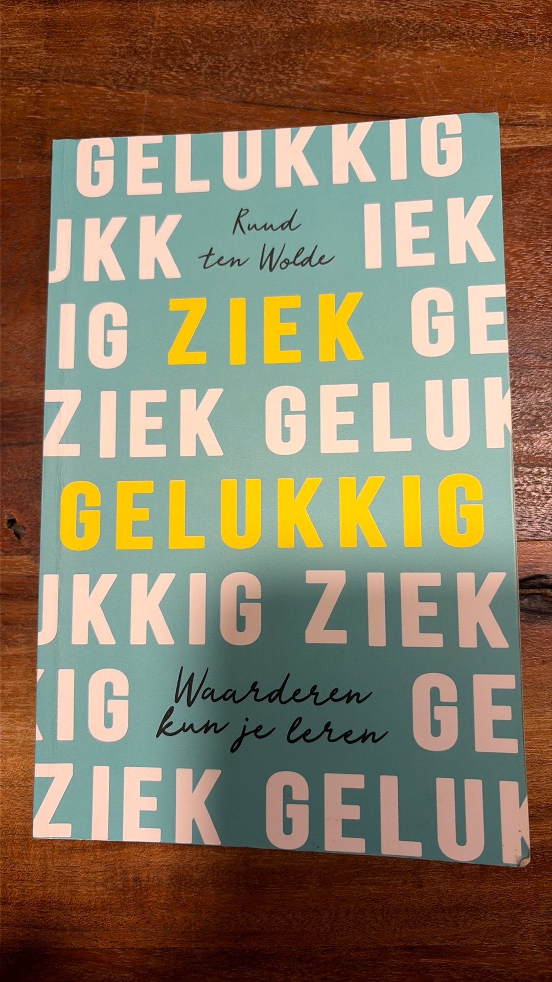 Ruud ten Wolde - Ziek gelukkig, Ophalen of Verzenden, Zo goed als nieuw, Ruud ten Wolde