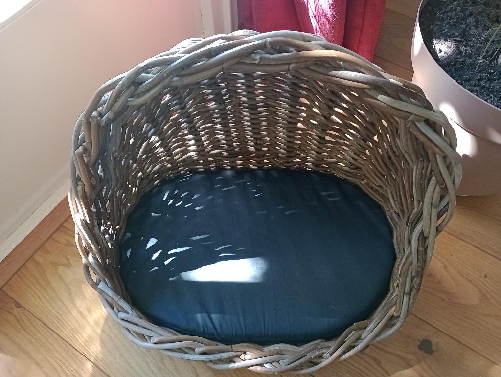 Kattenmand rotan nieuw landelijk mand kat, Ophalen, Nieuw, Riet