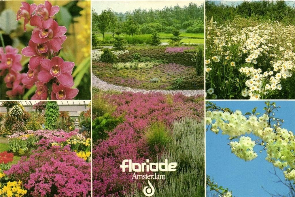 Floriade Amsterdam - 5 afb - 1983 gelopen, Ophalen of Verzenden, 1980 tot heden, Gelopen, Noord-Holland