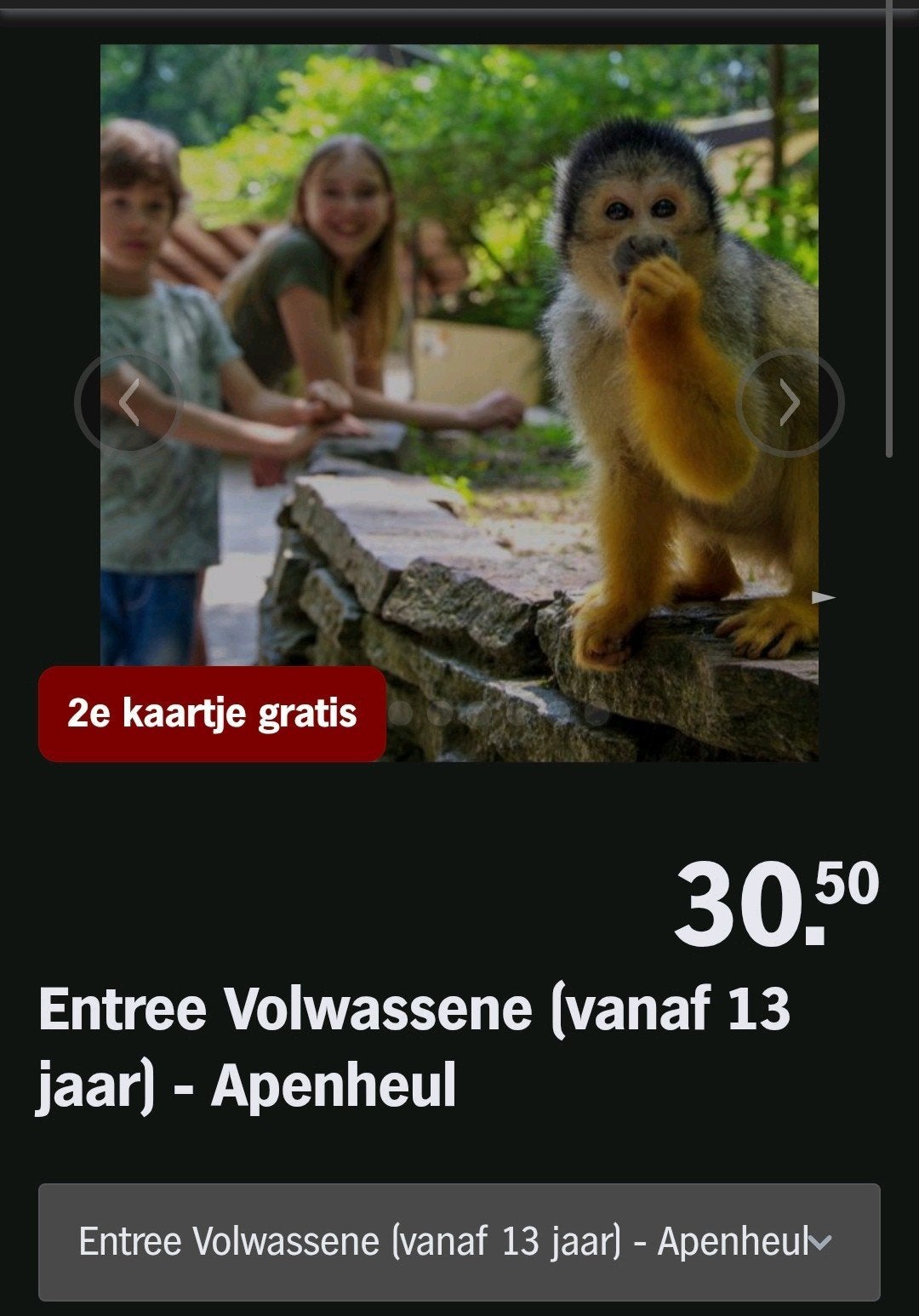 APENHEUL ♡ 2e kaartje gratis (AH SPAARKAARTEN), Tickets en Kaartjes, Recreatie | Dierentuinen, Overige typen