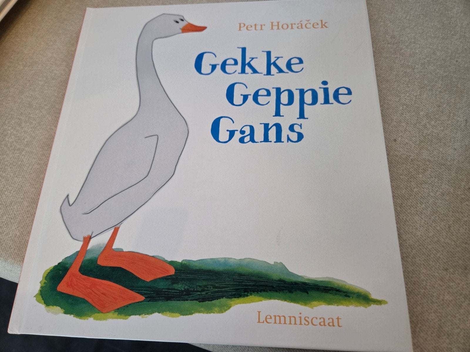 Petr Horacek - Gekke Geppie Gans - Lemniscaat, Boeken, Ophalen of Verzenden, Zo goed als nieuw