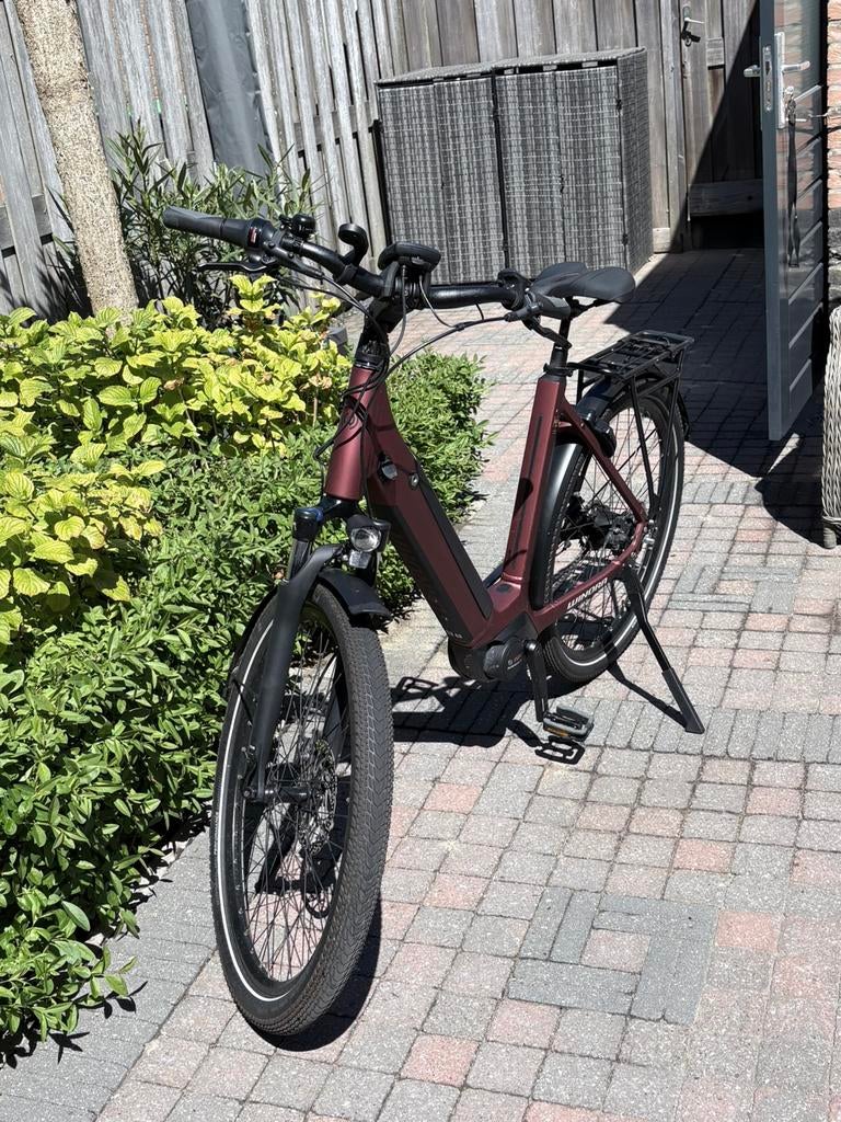 WINORA E-bike Sinus N5F frame 54 maroon red, 51 tot 55 cm, Ophalen, Zo goed als nieuw, Overige merken