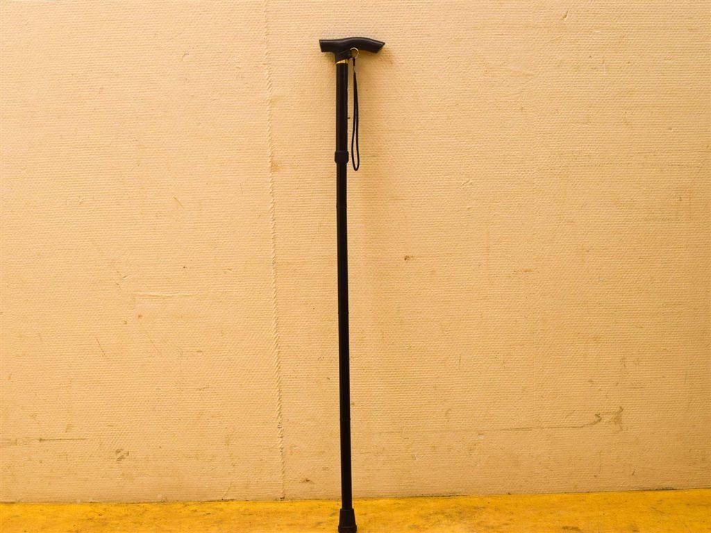 Wandelstok 51567