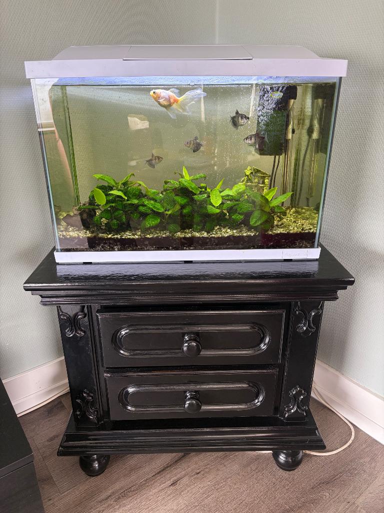 Aquarium inclusief vissen, Ophalen, Verwarming, Gebruikt, Gevuld zoetwateraquarium