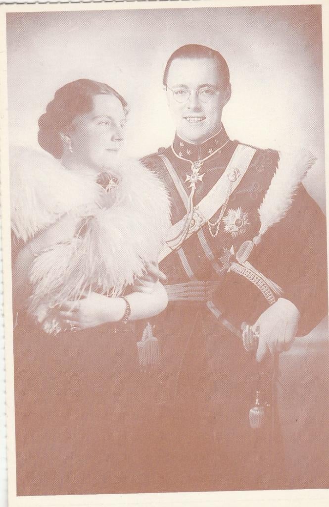 juliana en bernhard, Ophalen of Verzenden, Zo goed als nieuw, Kaart, Foto of Prent