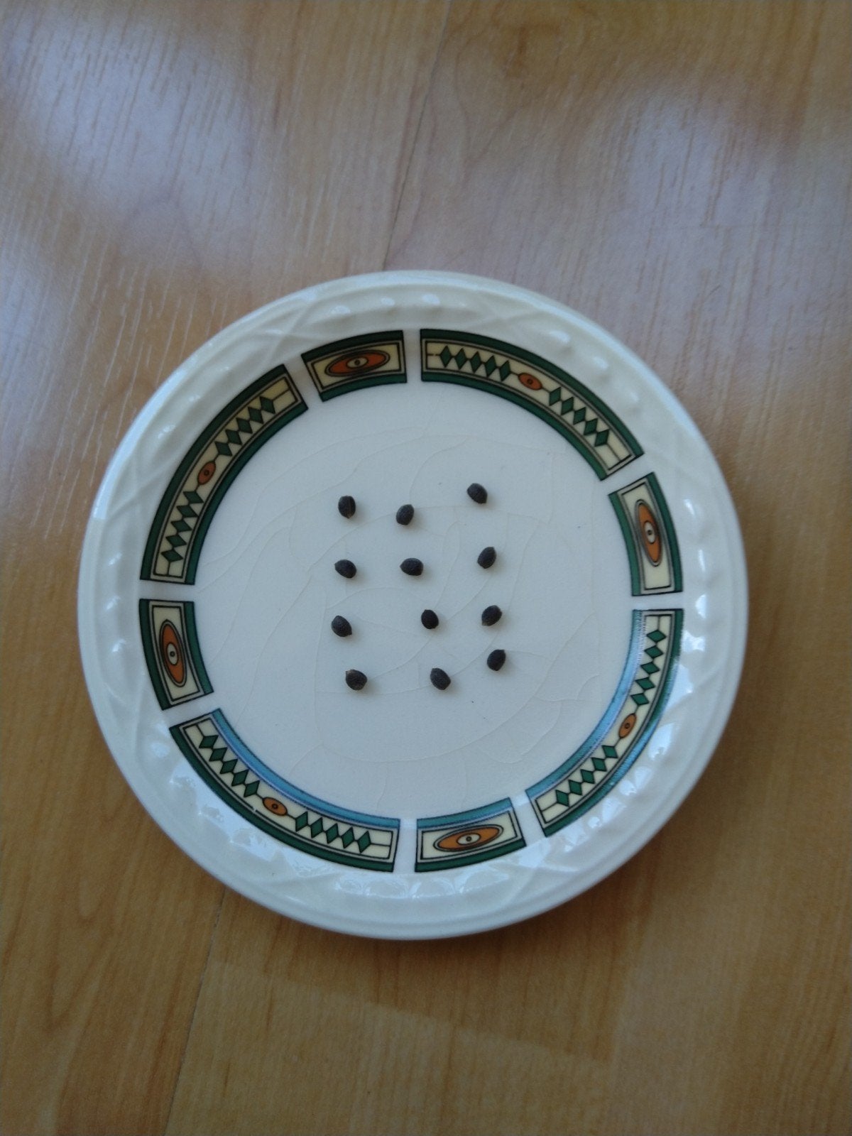 Madagaskar Jewel zaden, 150 stuks., Huis en Inrichting, Kamerplanten, Ophalen of Verzenden, Halfschaduw