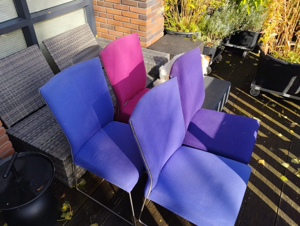 Gratis 4 eettafel stoelen zonder hond:-), Ophalen, Gebruikt, 50 tot 100 cm, Vier personen