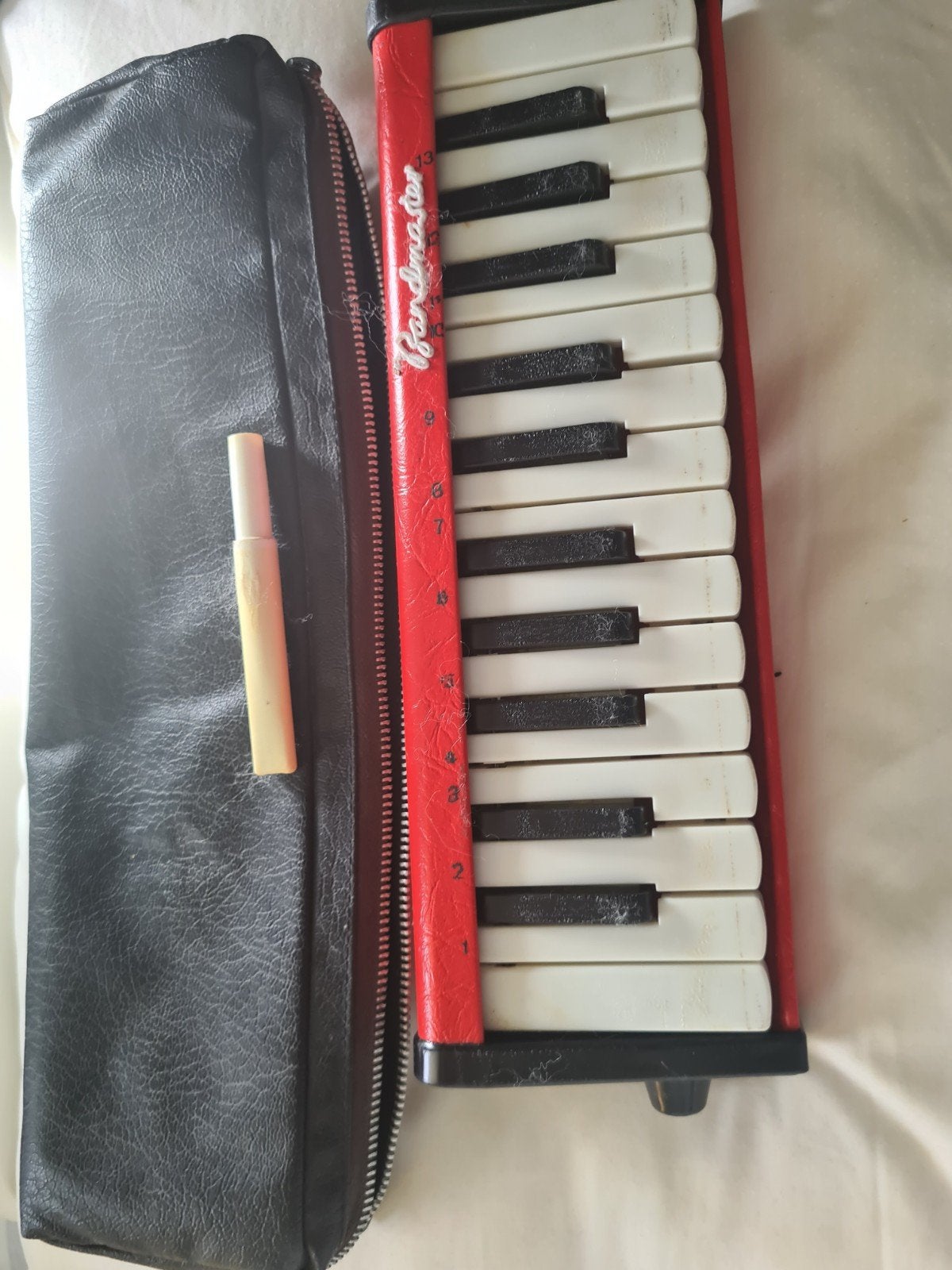 Bandmaster Melodica met 25 toetsen en hoes, Ophalen of Verzenden, Gebruikt, Overige aantallen, Overige merken