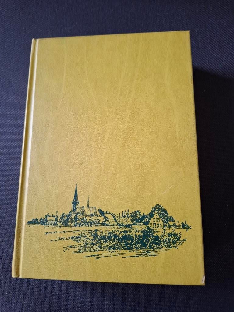 Antoon Coolen - Dorp aan de rivier (1934), Ophalen of Verzenden, Gelezen, Antoon Coolen, Nederland